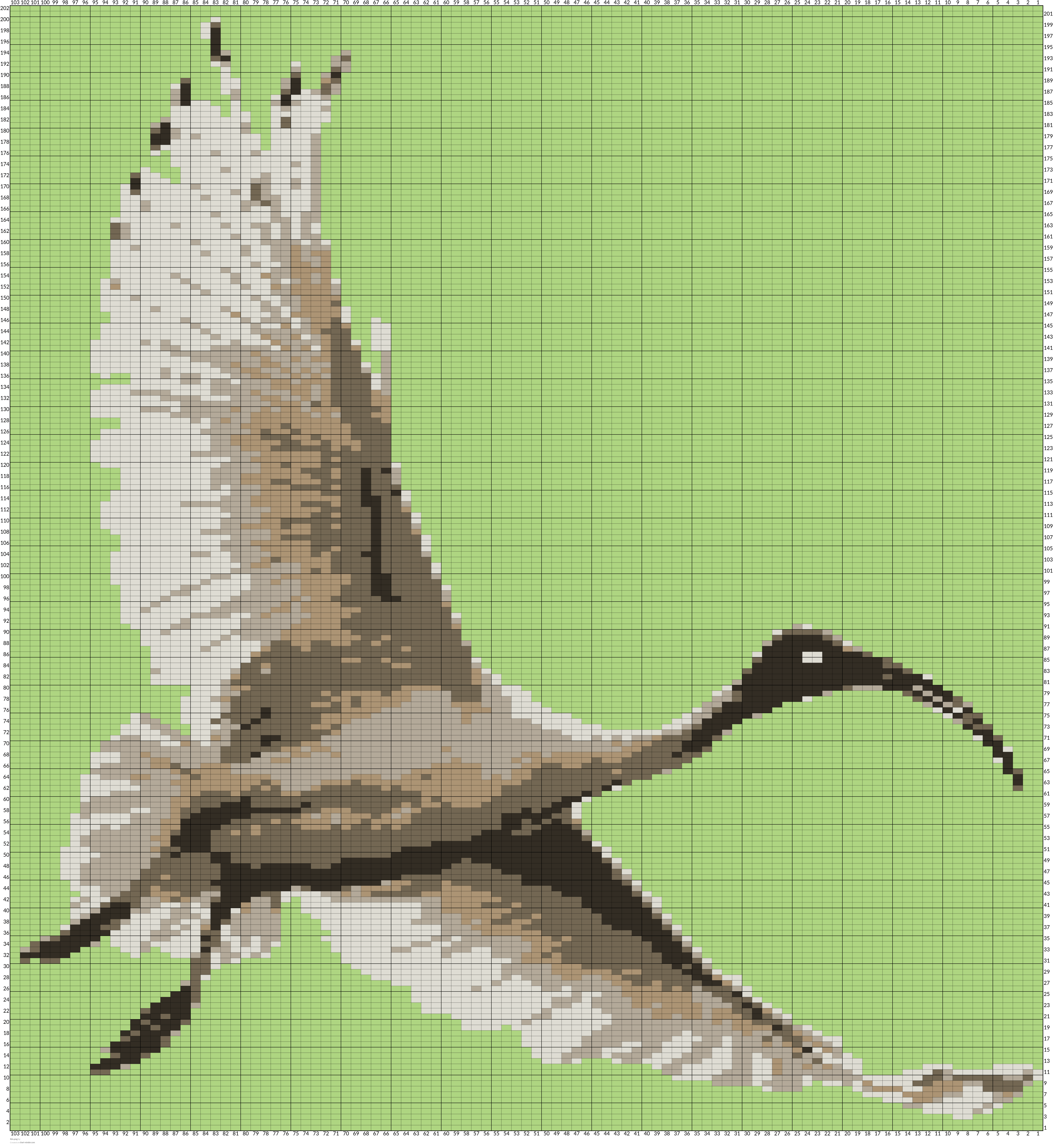 Ibis.png