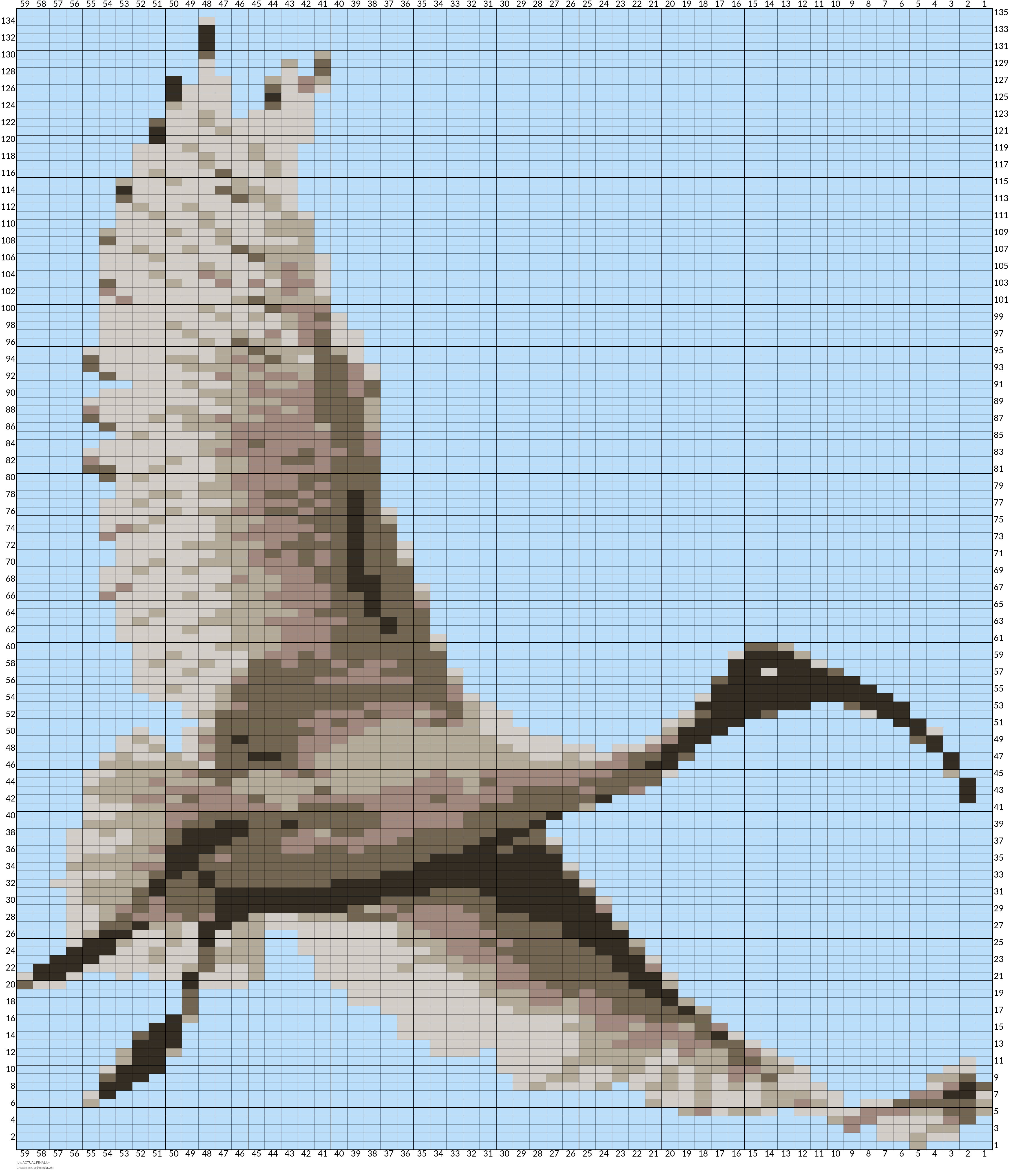 Ibis ACTUAL FINAL