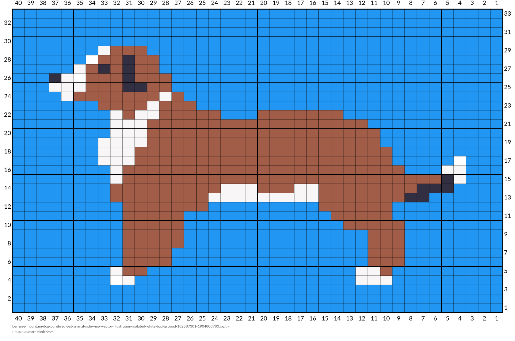 bernese-mountain-dog-purebred-pet-animal-side-view-vector-illustration-isolated-white-background-182587301-1904808780.jpg