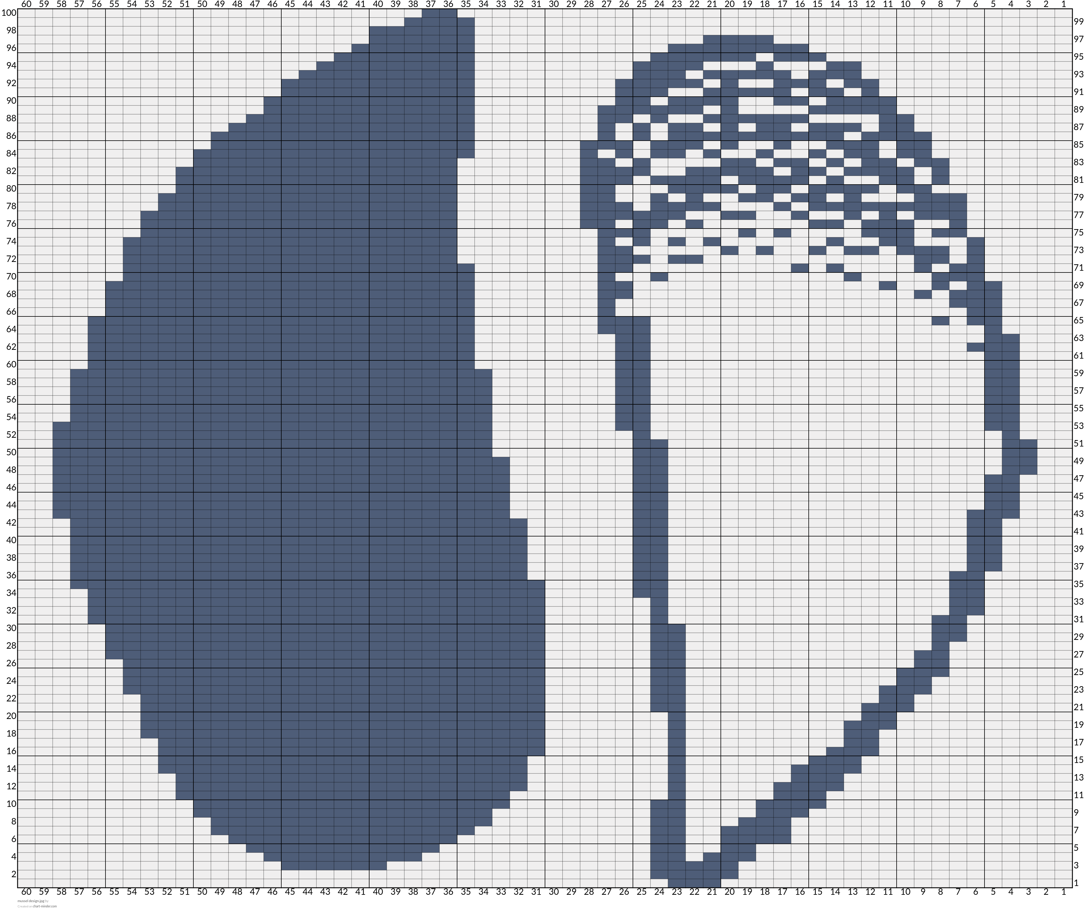 mussel design.jpg