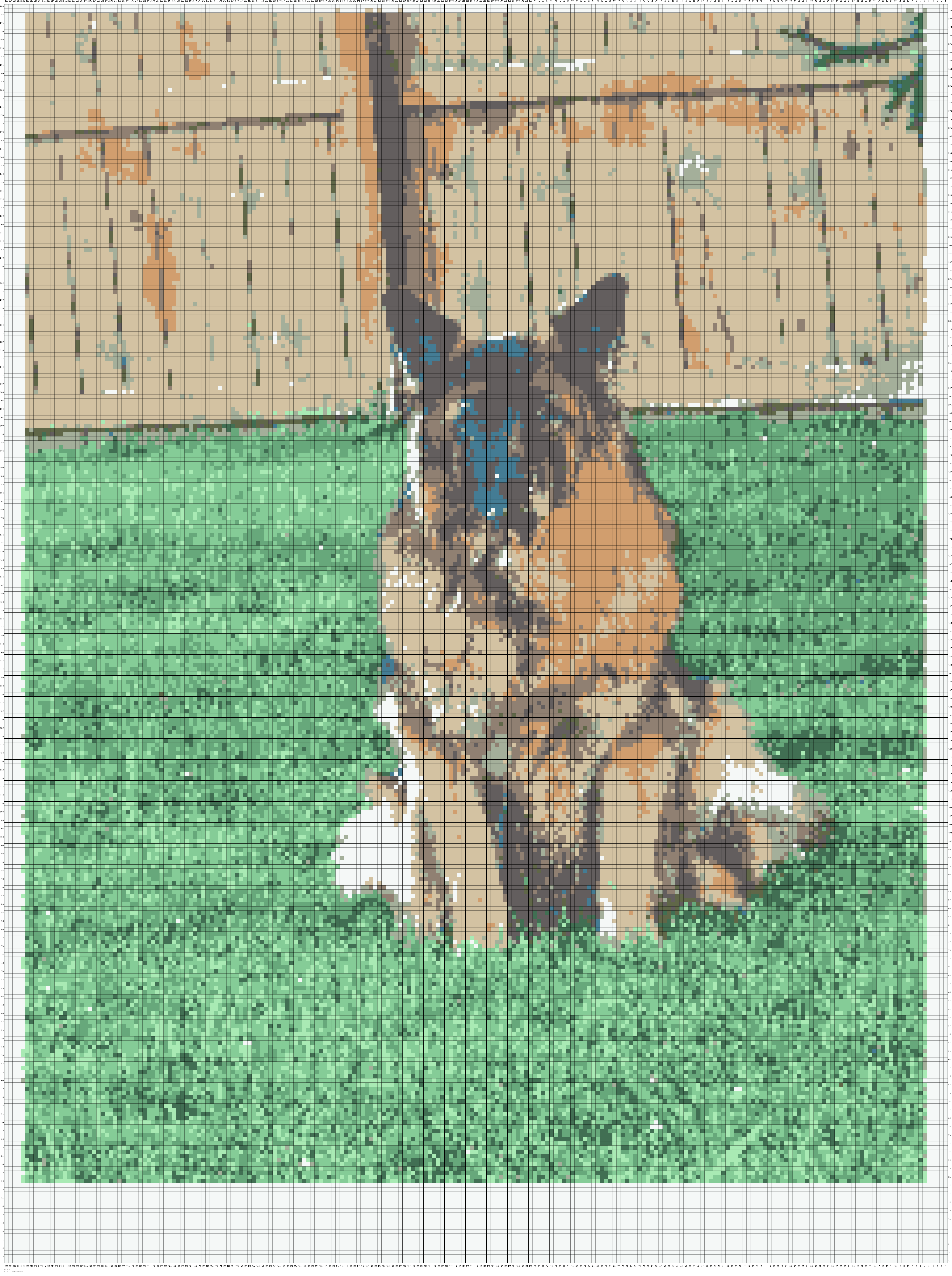 Floki