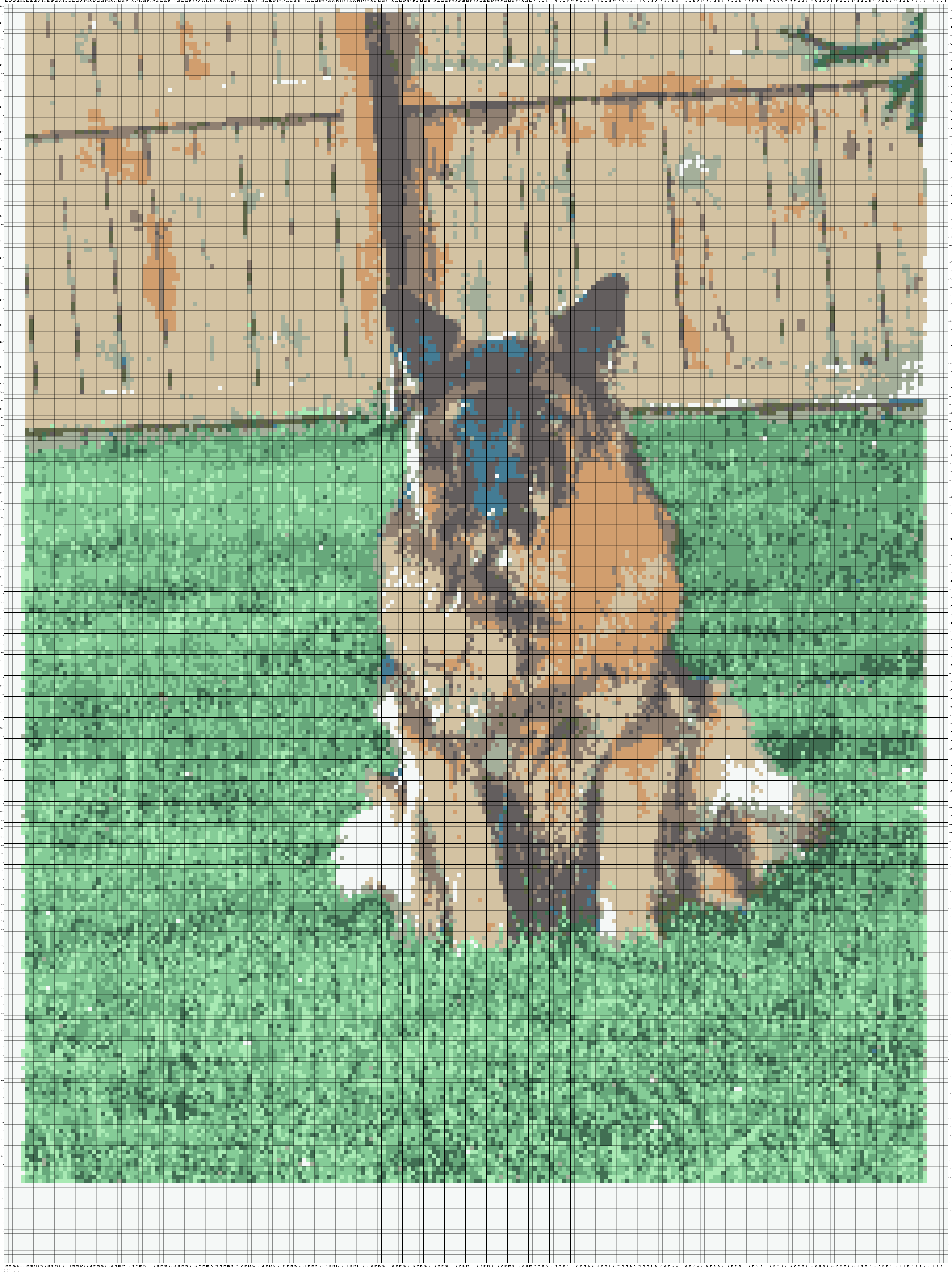 Floki