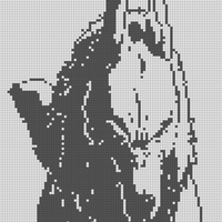 IMG_1389.jpeg