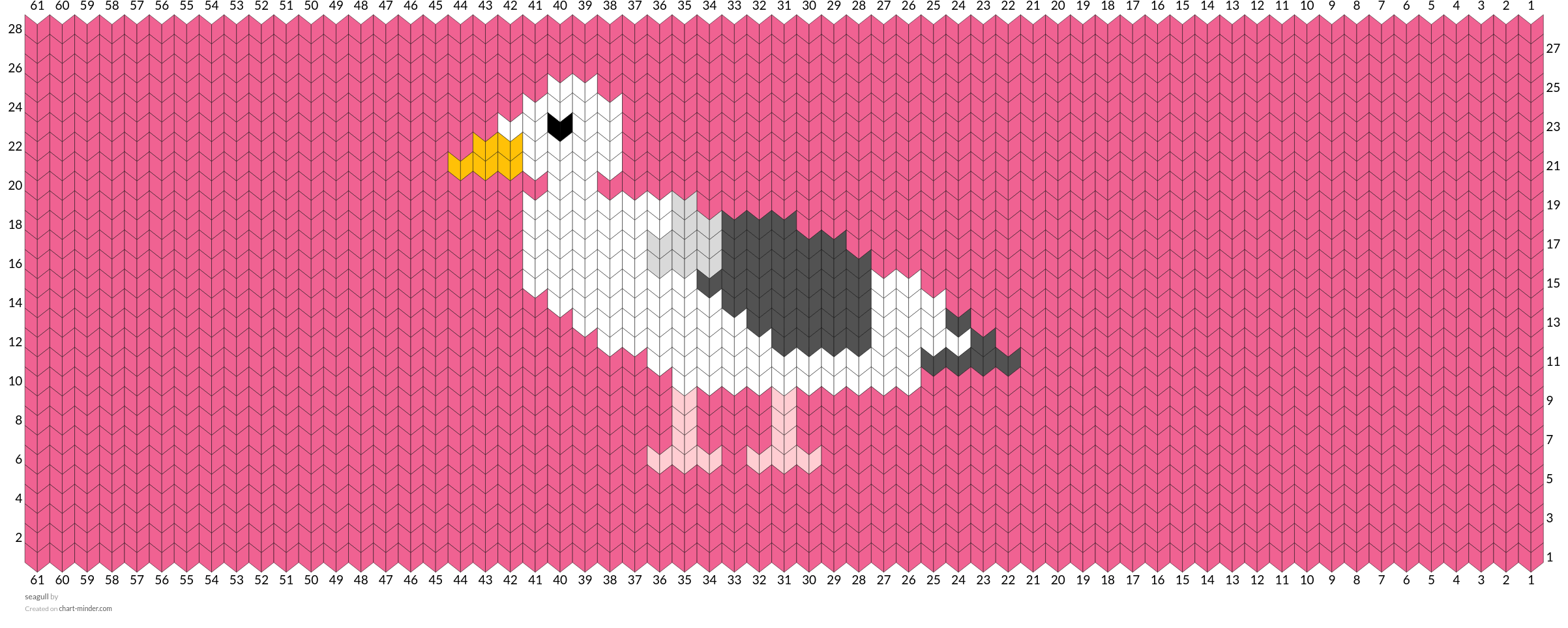 seagull