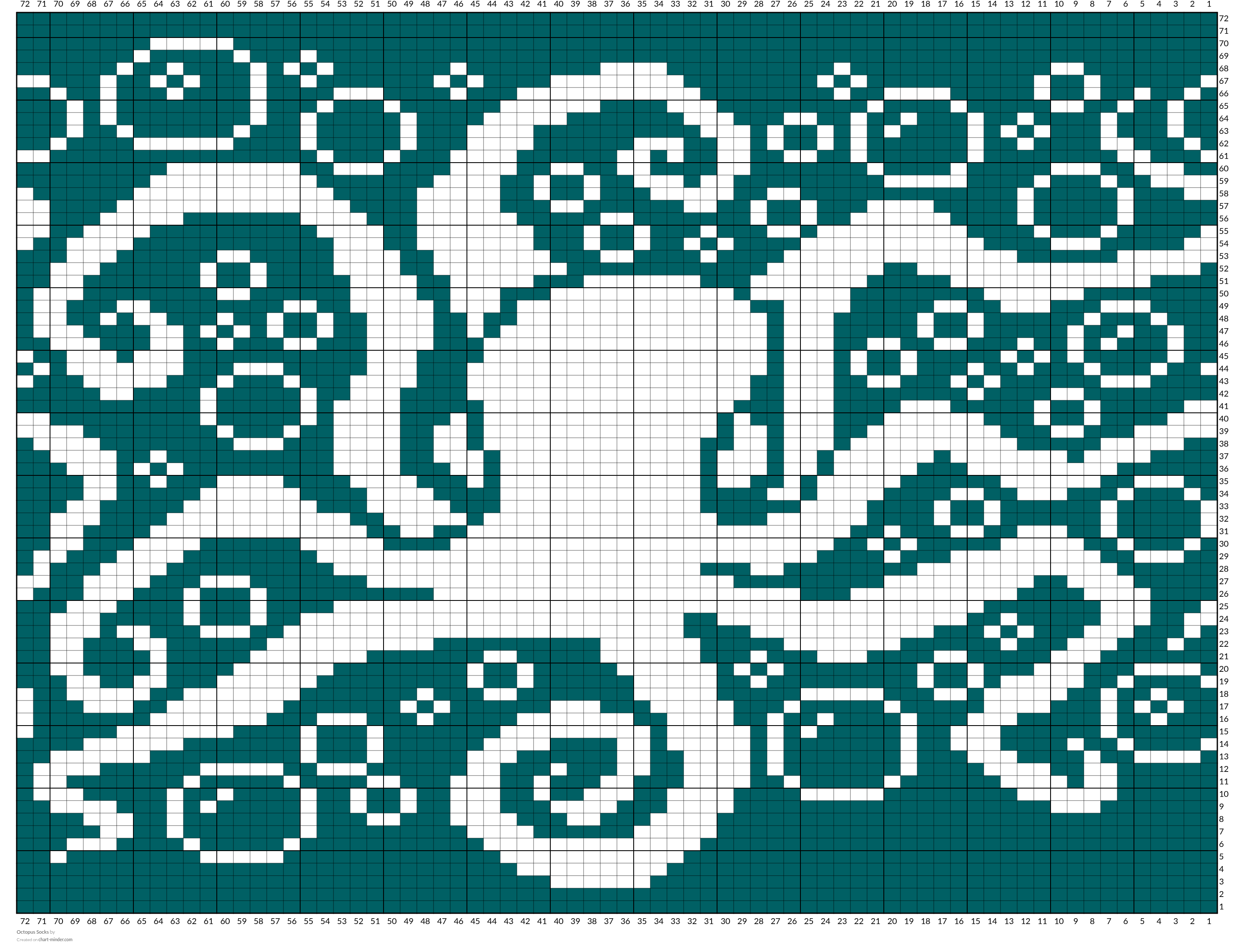 Octopus Socks