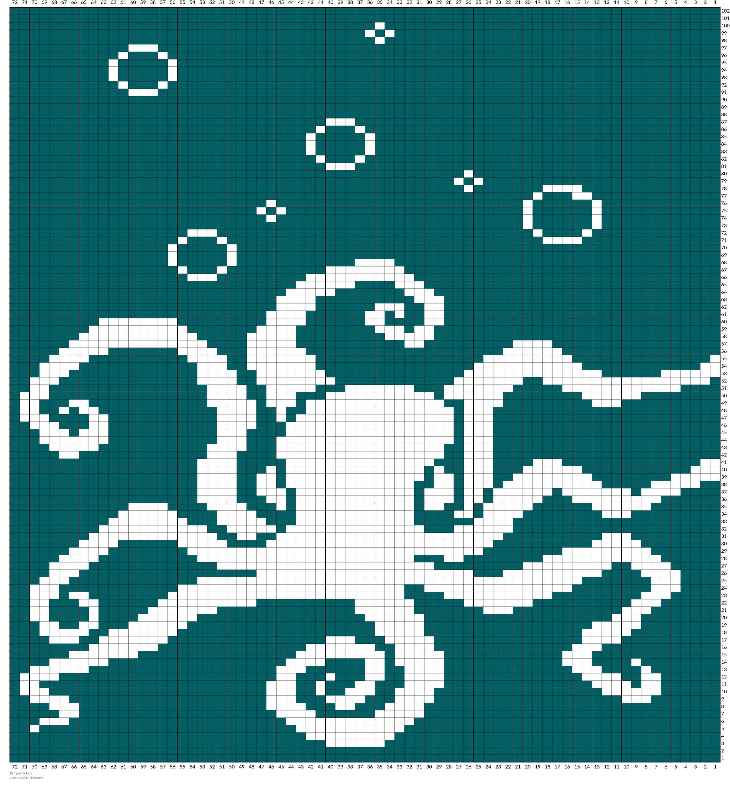 Octopus Socks