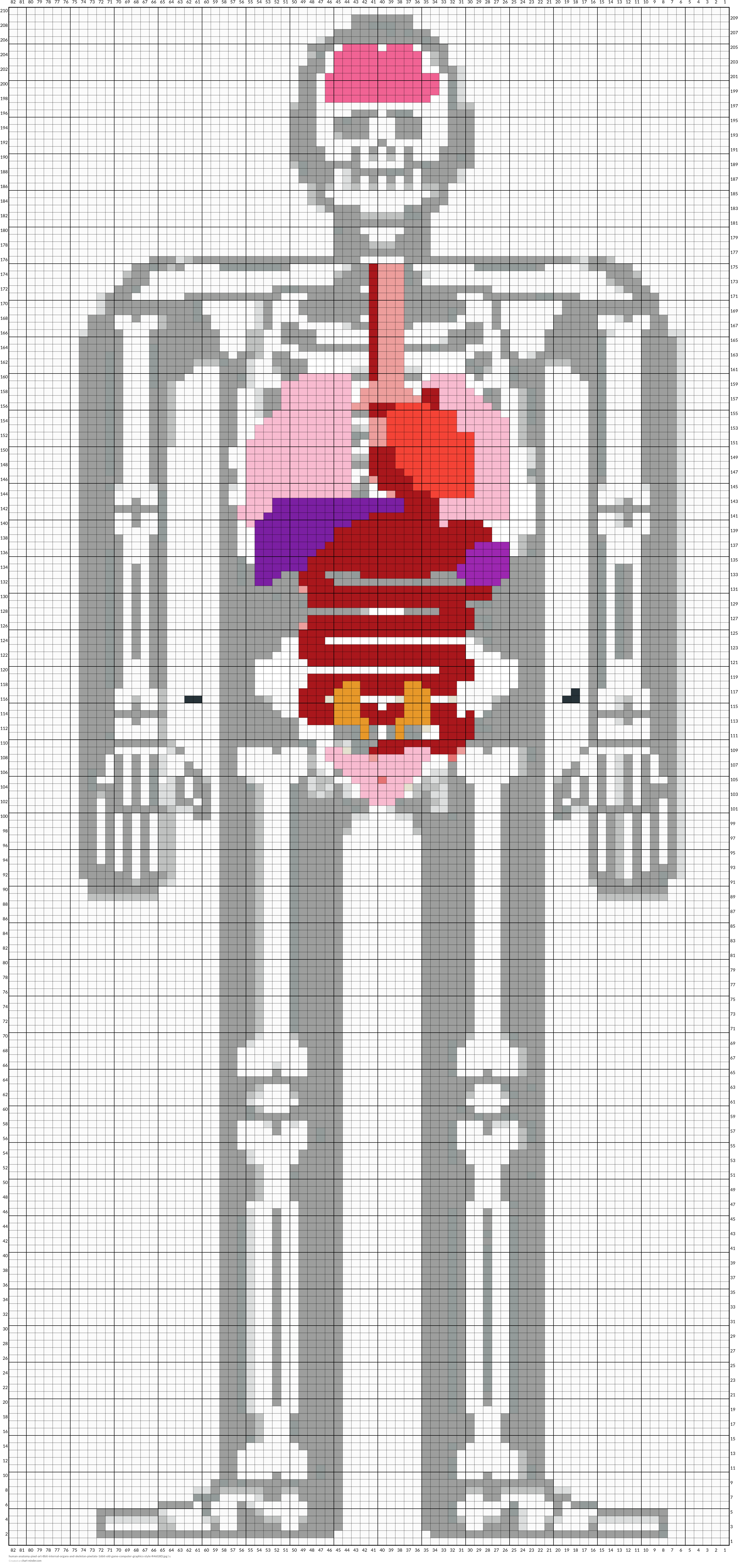 human-anatomy-pixel-art-8bit-internal-organs-and-skeleton-pixelate-16bit-old-game-computer-graphics-style-R46G8D.jpg