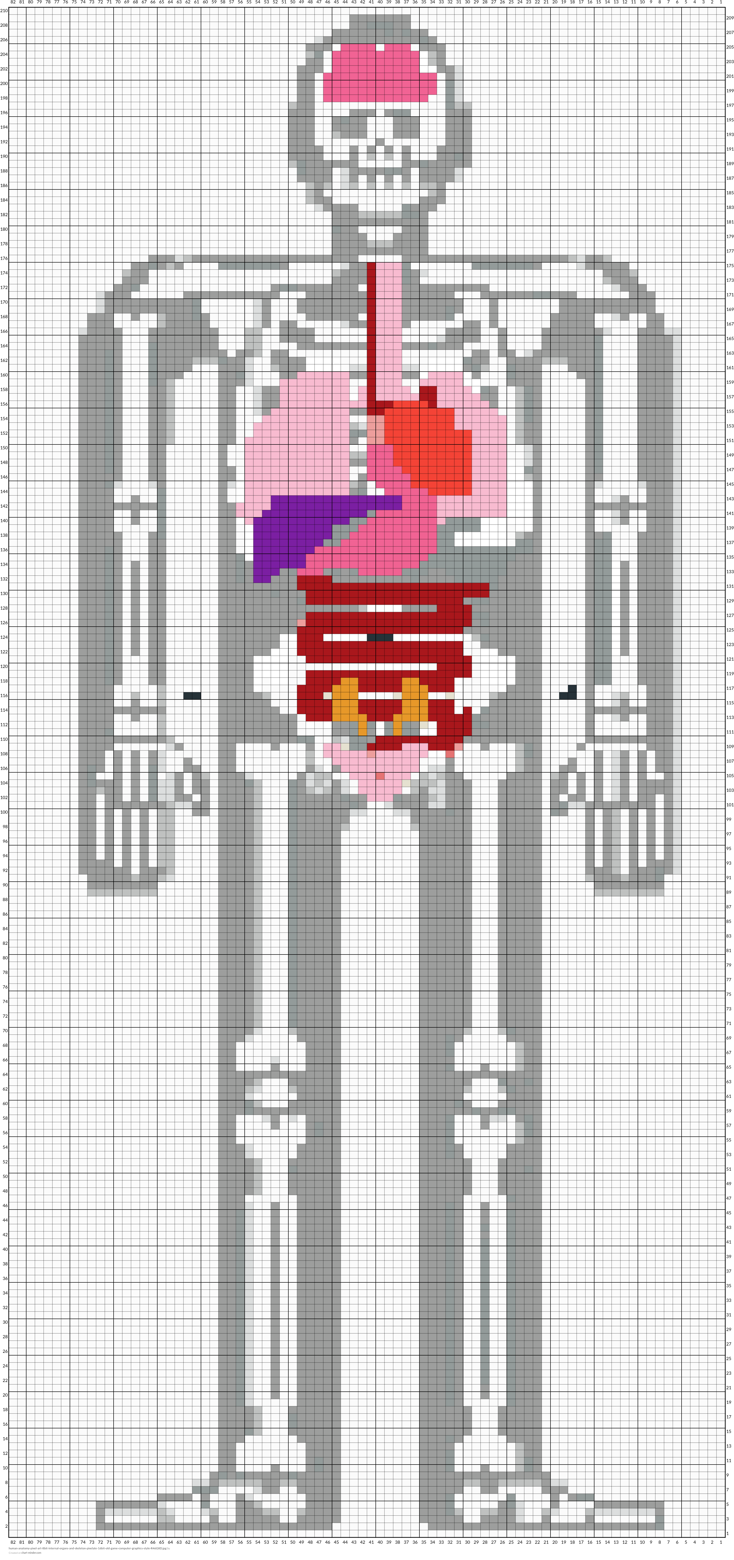 human-anatomy-pixel-art-8bit-internal-organs-and-skeleton-pixelate-16bit-old-game-computer-graphics-style-R46G8D.jpg