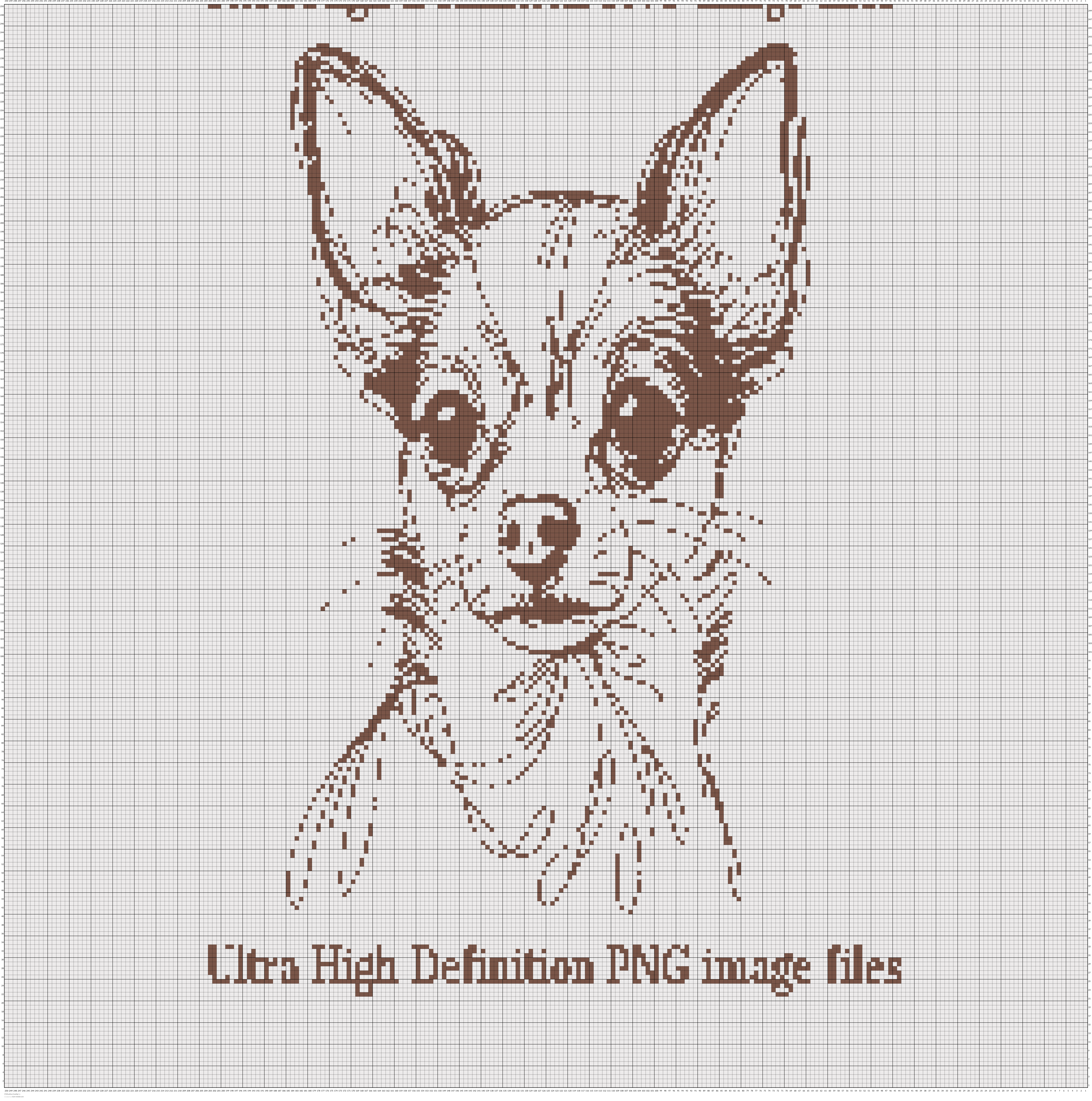 Chihuahua S.webp