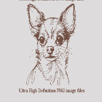 Chihuahua S.webp