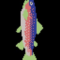 Copy of fish real