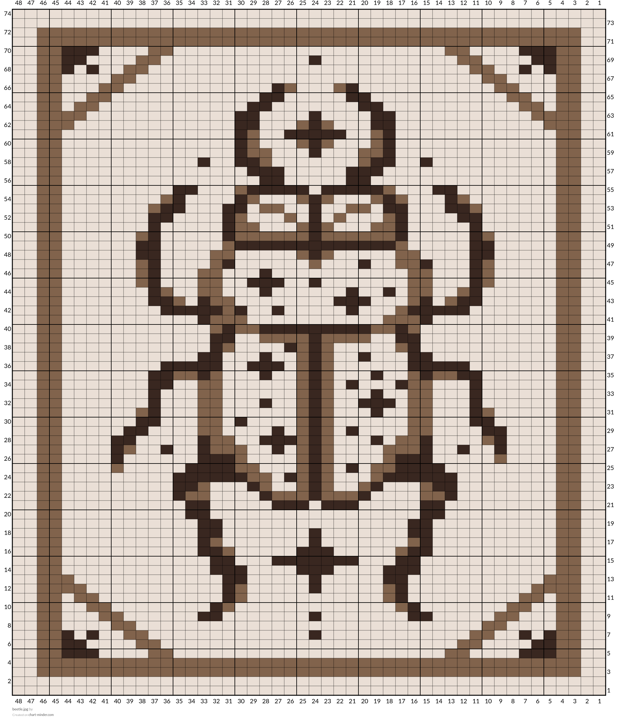 beetle.jpg