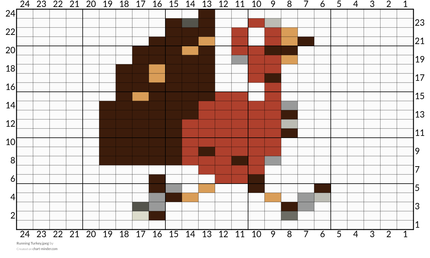 Running Turkey.jpeg