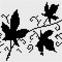 ivy.jpg