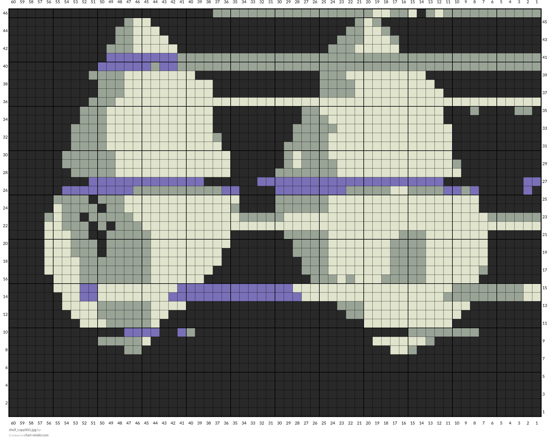 shell_copy001.jpg