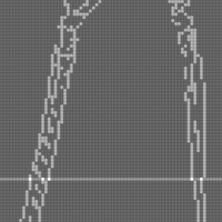 Copy of Monkey X Ray.jpg