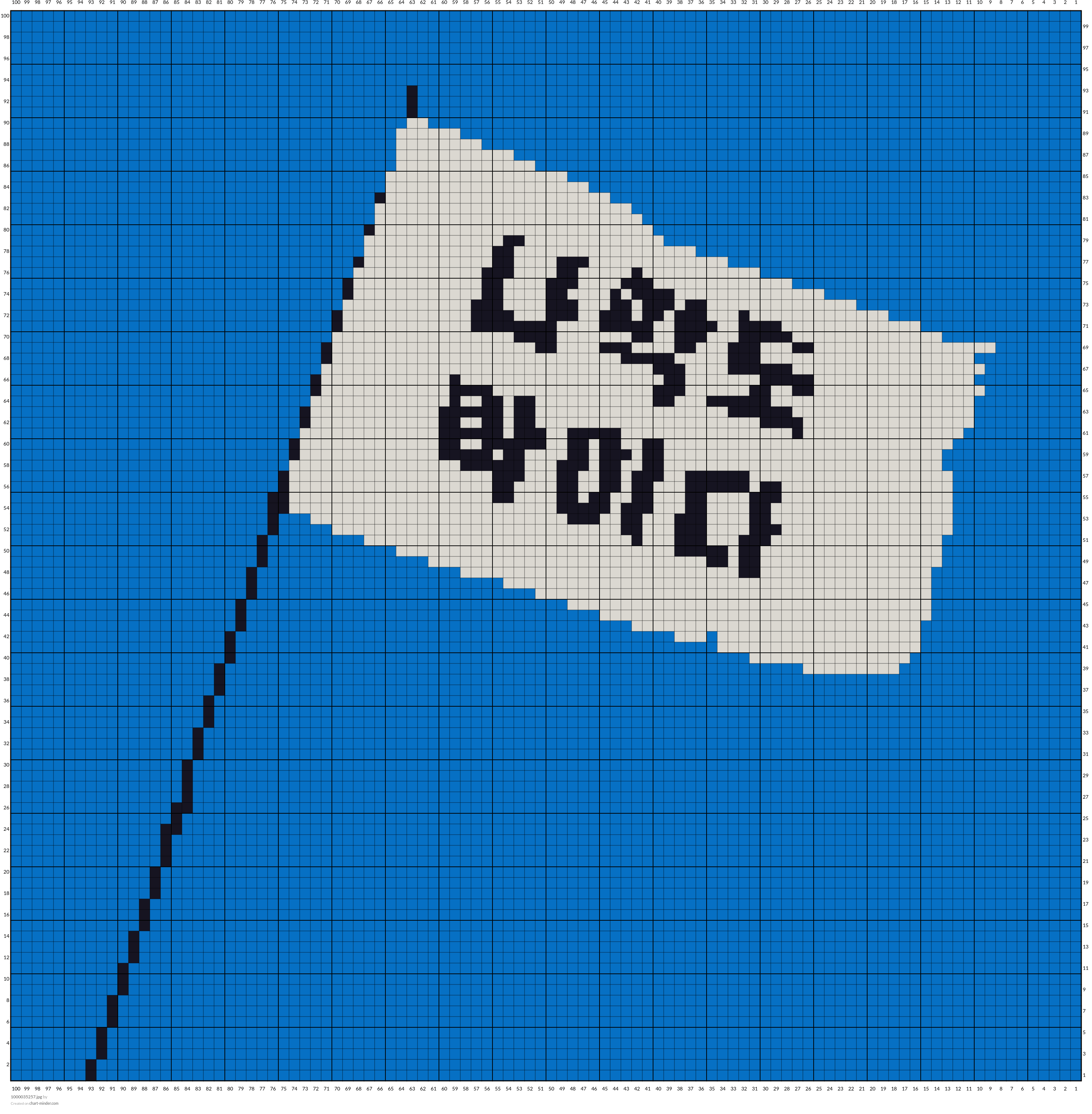 1000035257.jpg