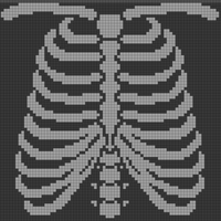 bigRibCage