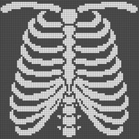bigRibCage