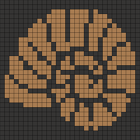 Copy of ammonite clip.jpg