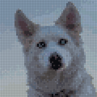 Screenshot 2025-09-08 at 12.33.20 PM.png