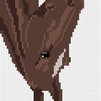 horse face