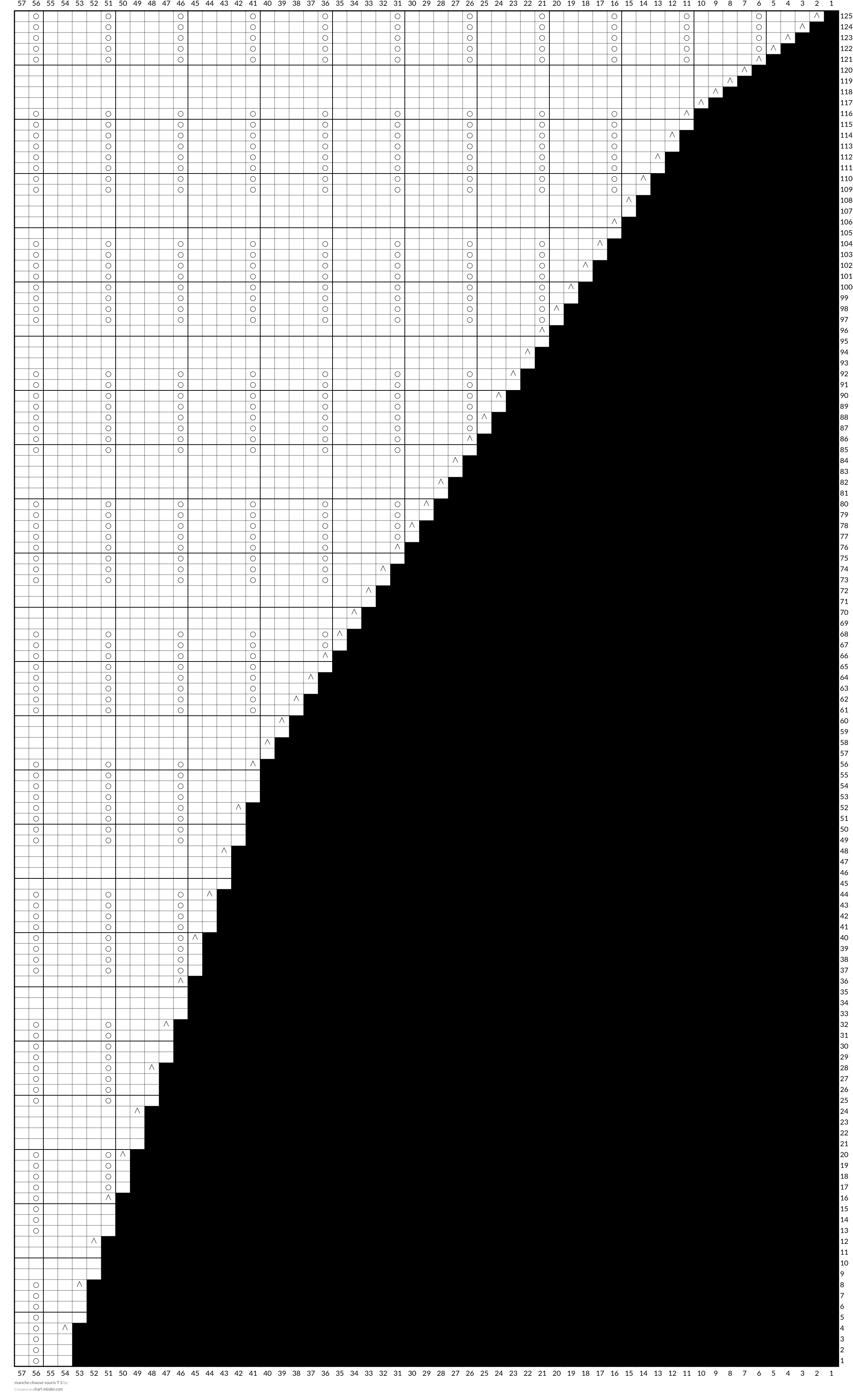 manche chauve souris T S