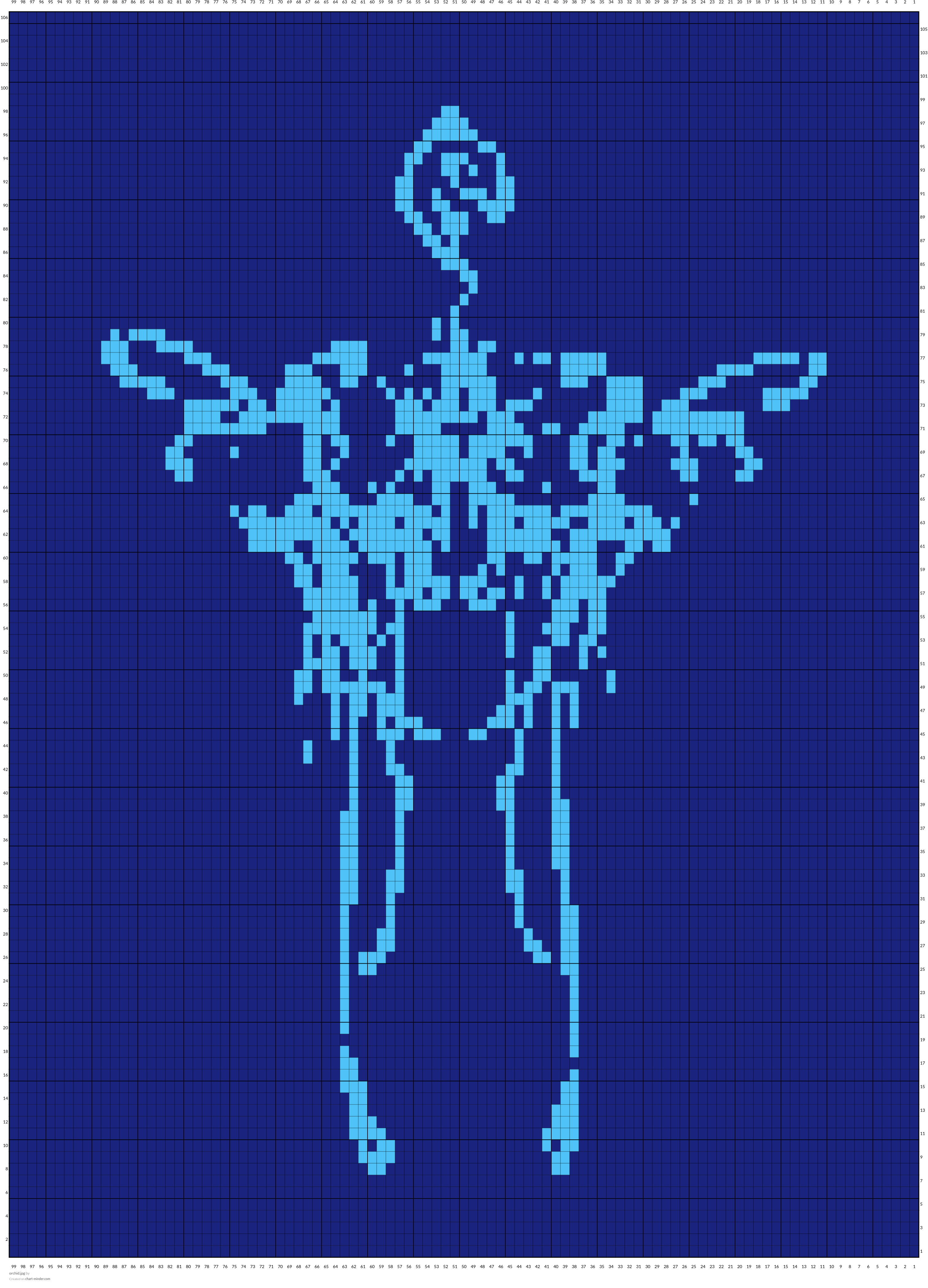 orchid.jpg