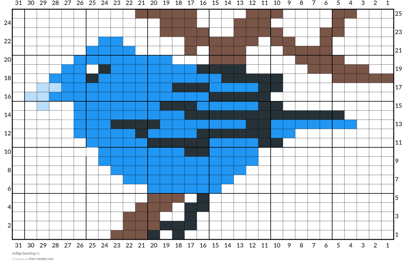 indigo bunting