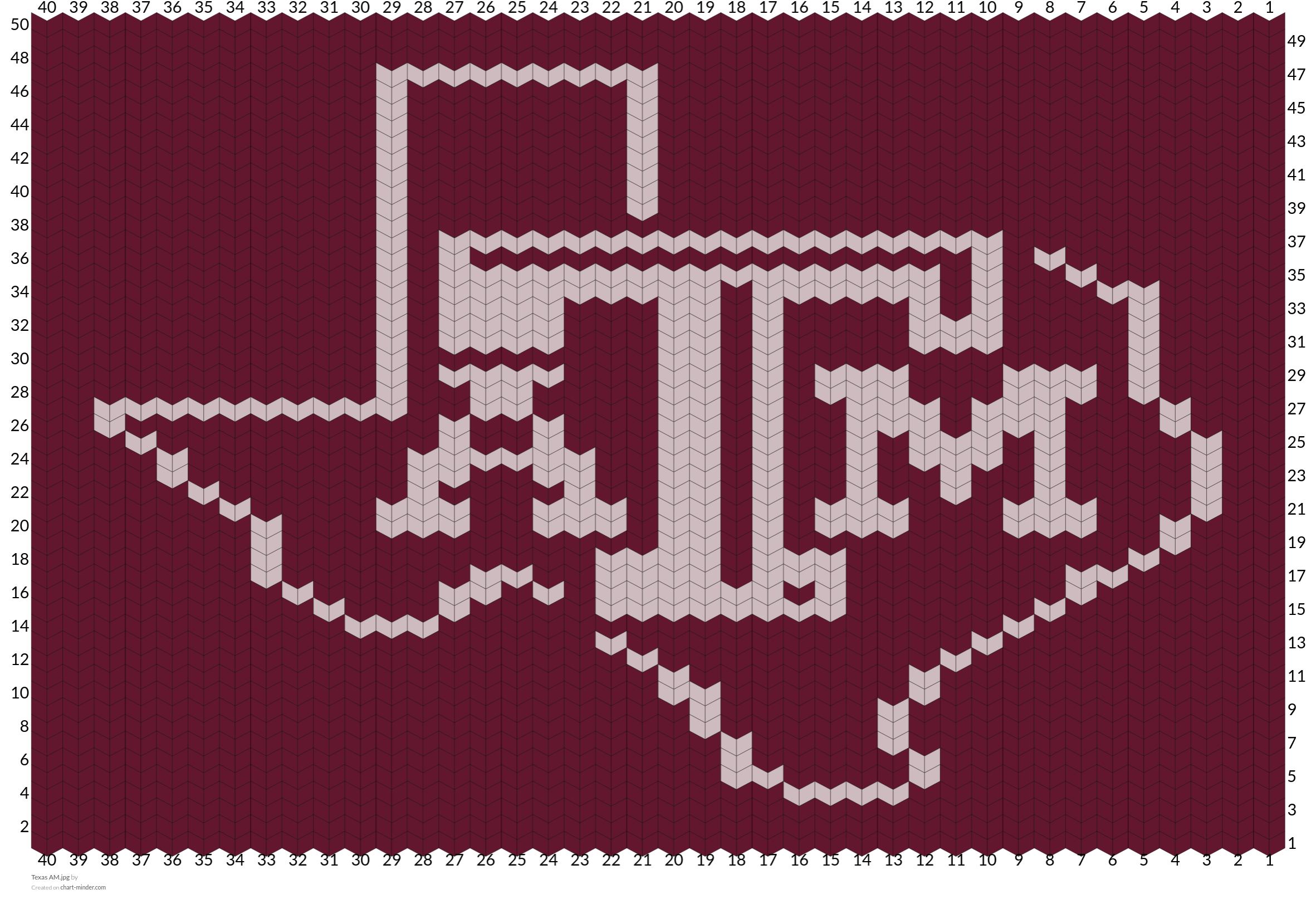 Texas AM.jpg