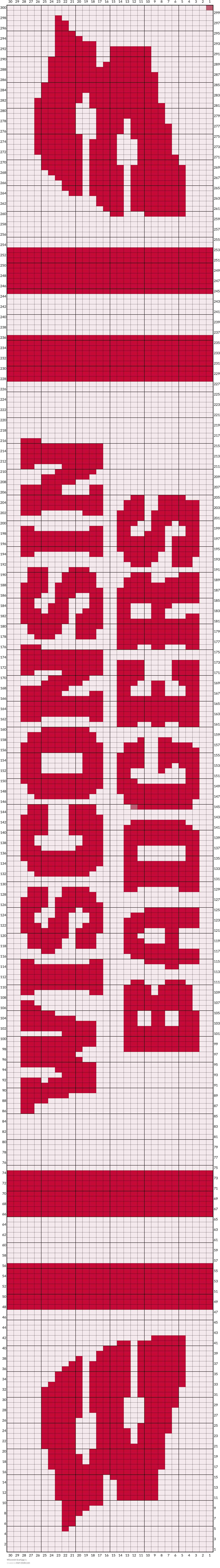Wisconsin Scarf.jpg