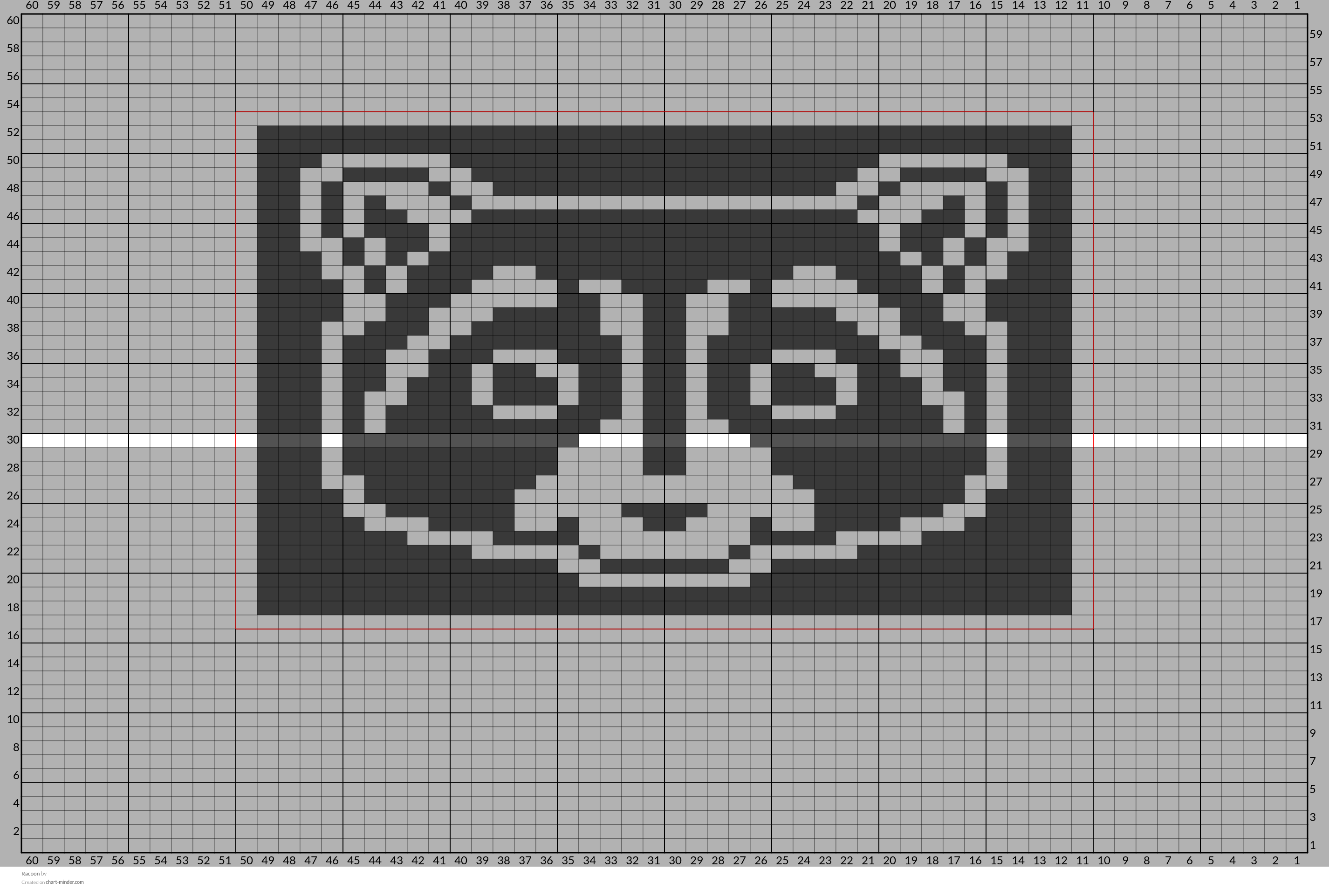 Racoon