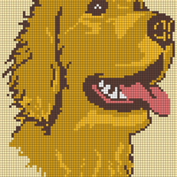  Head of State Intarsia Dark