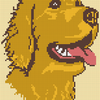  Head of State Intarsia Dark