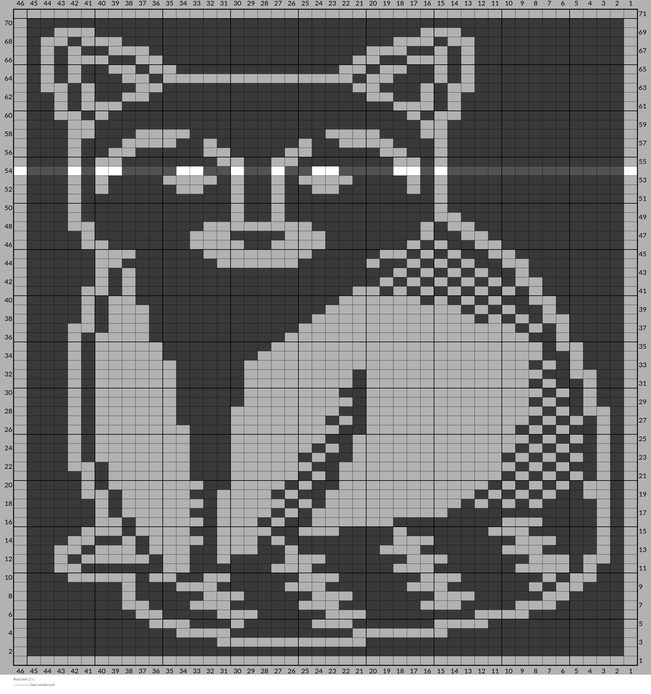 Raccoon 2
