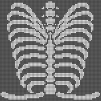 Ribcage_TopDown