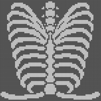 Ribcage_TopDown