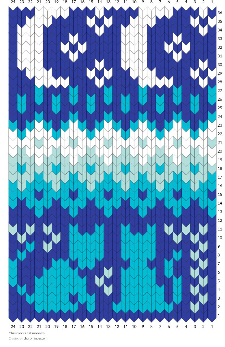 Chris Socks cat moon