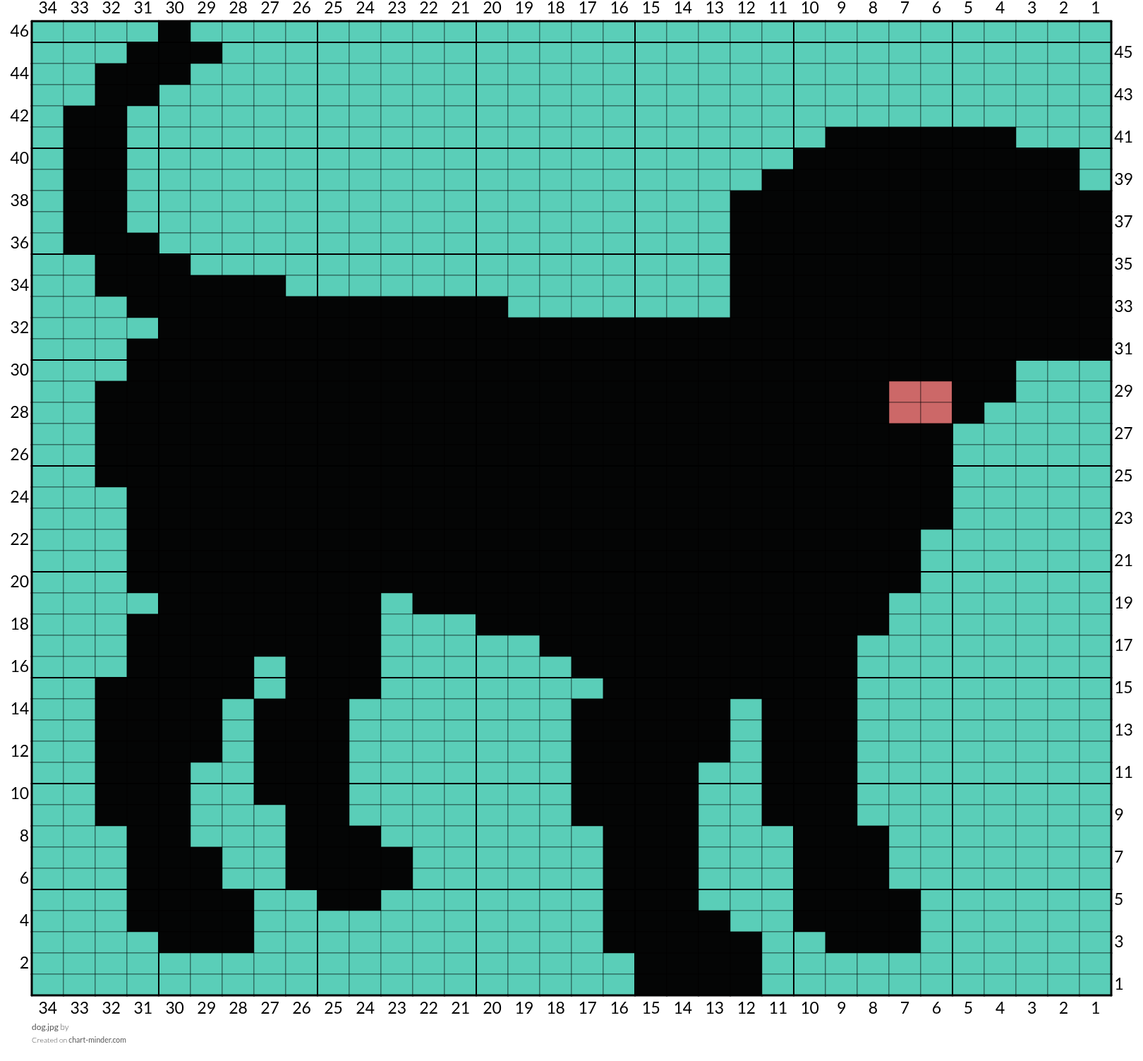dog.jpg