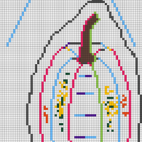 Copy of Projekt bez nazwy (2).png