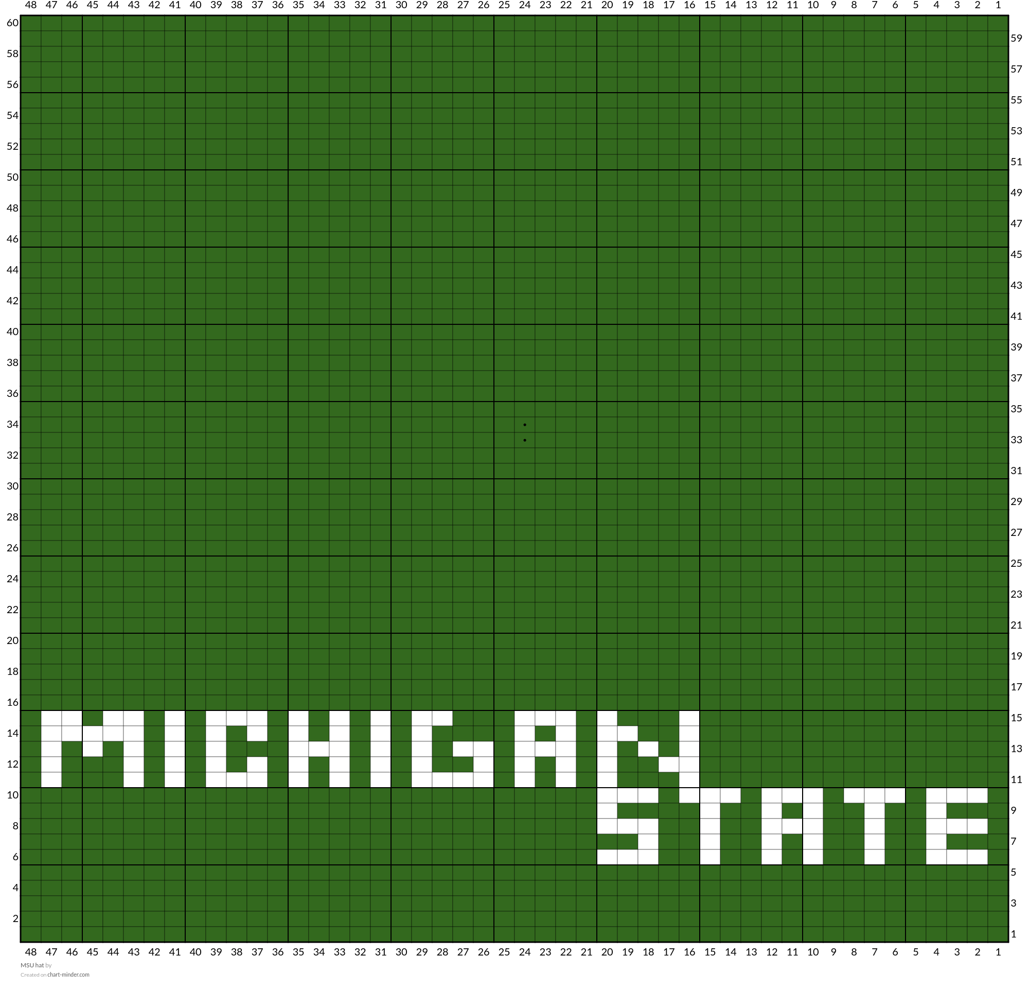 MSU hat
