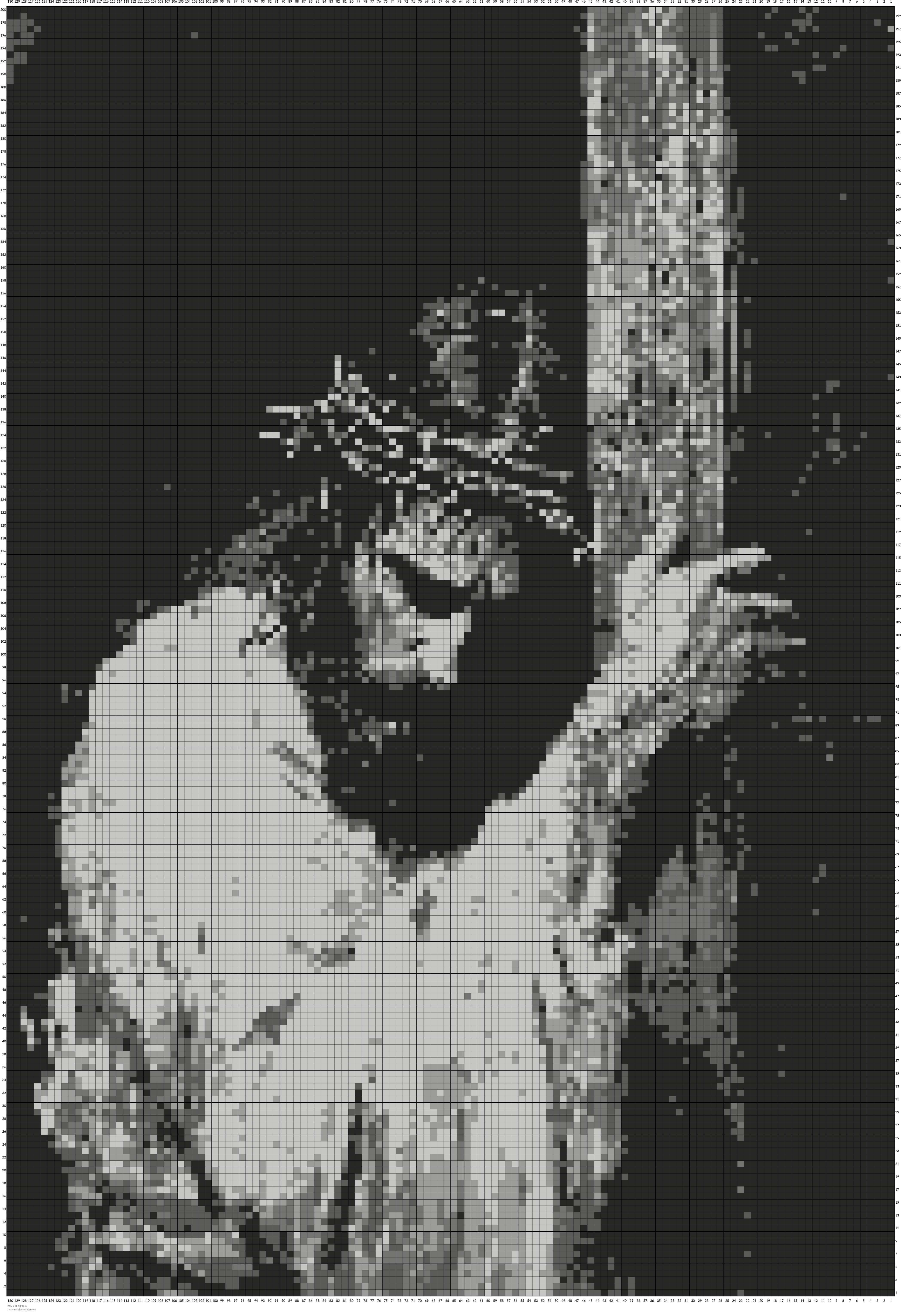 IMG_1685.jpeg