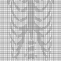 Copy of white-chest-bone-tshirt-print-260nw-2032044305.jpg
