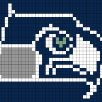 Seahawks Logo