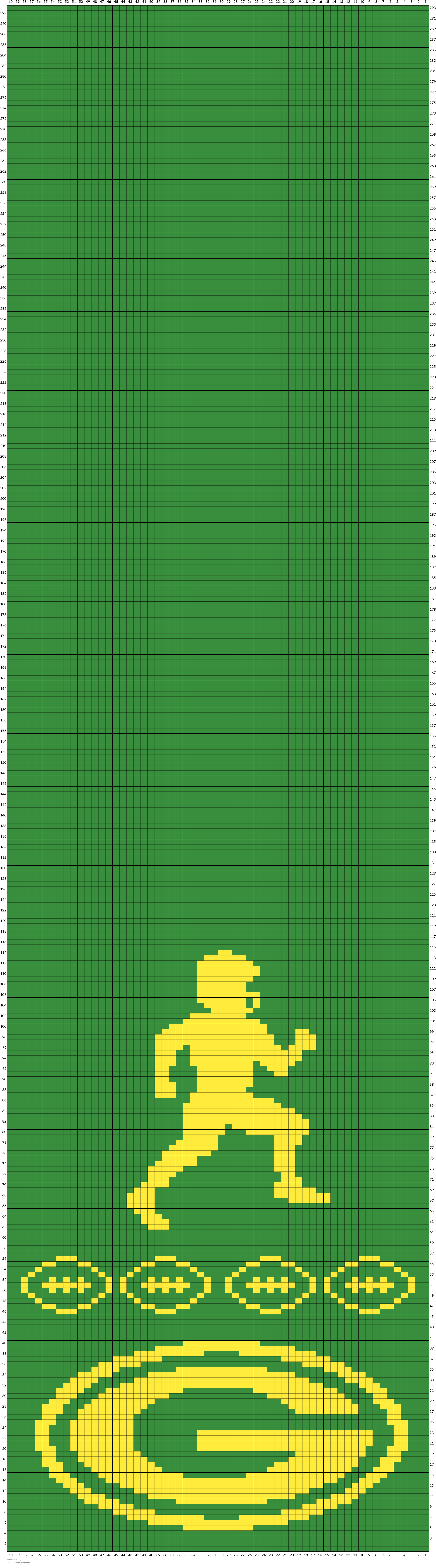 Packer Scarf
