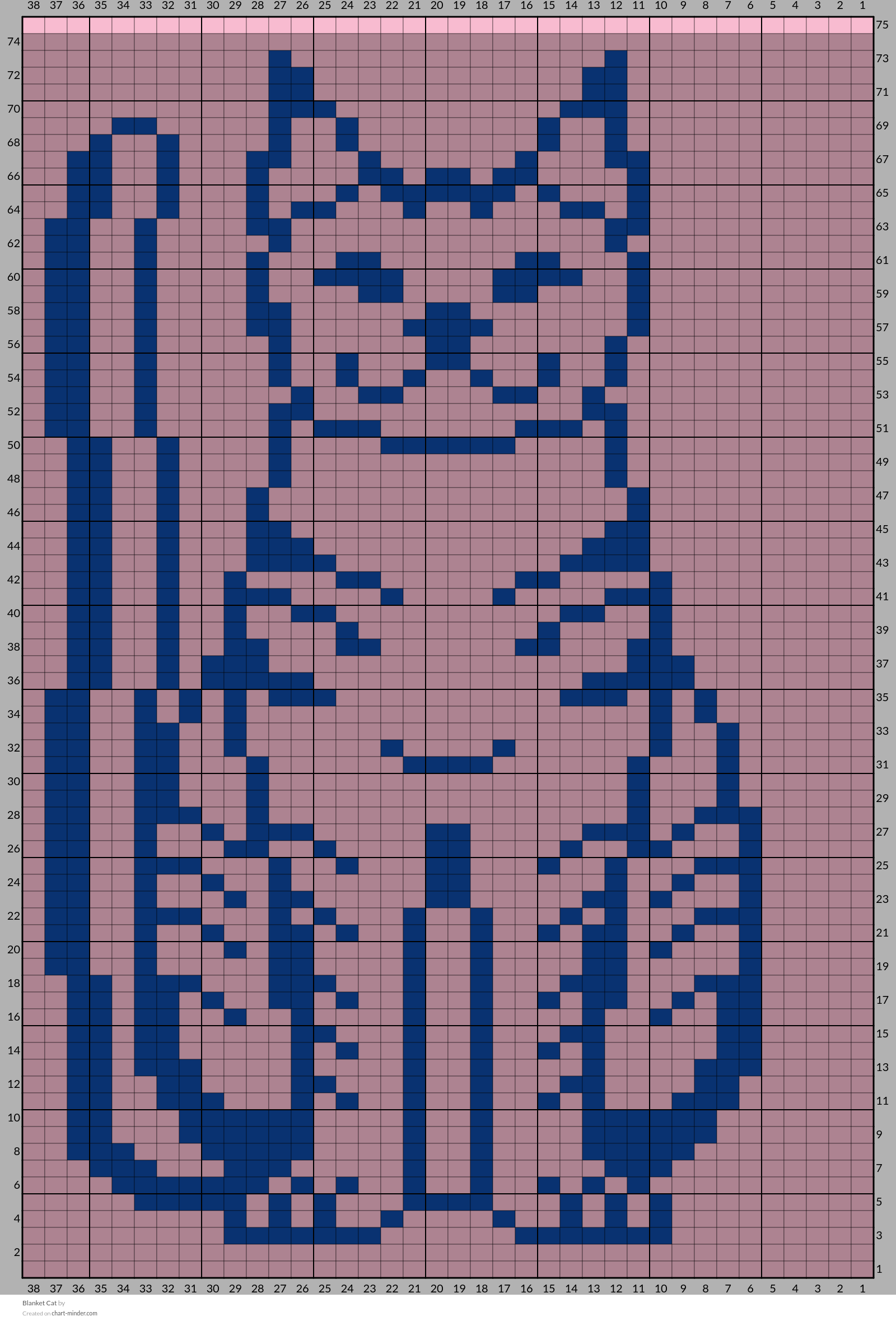 Blanket Cat