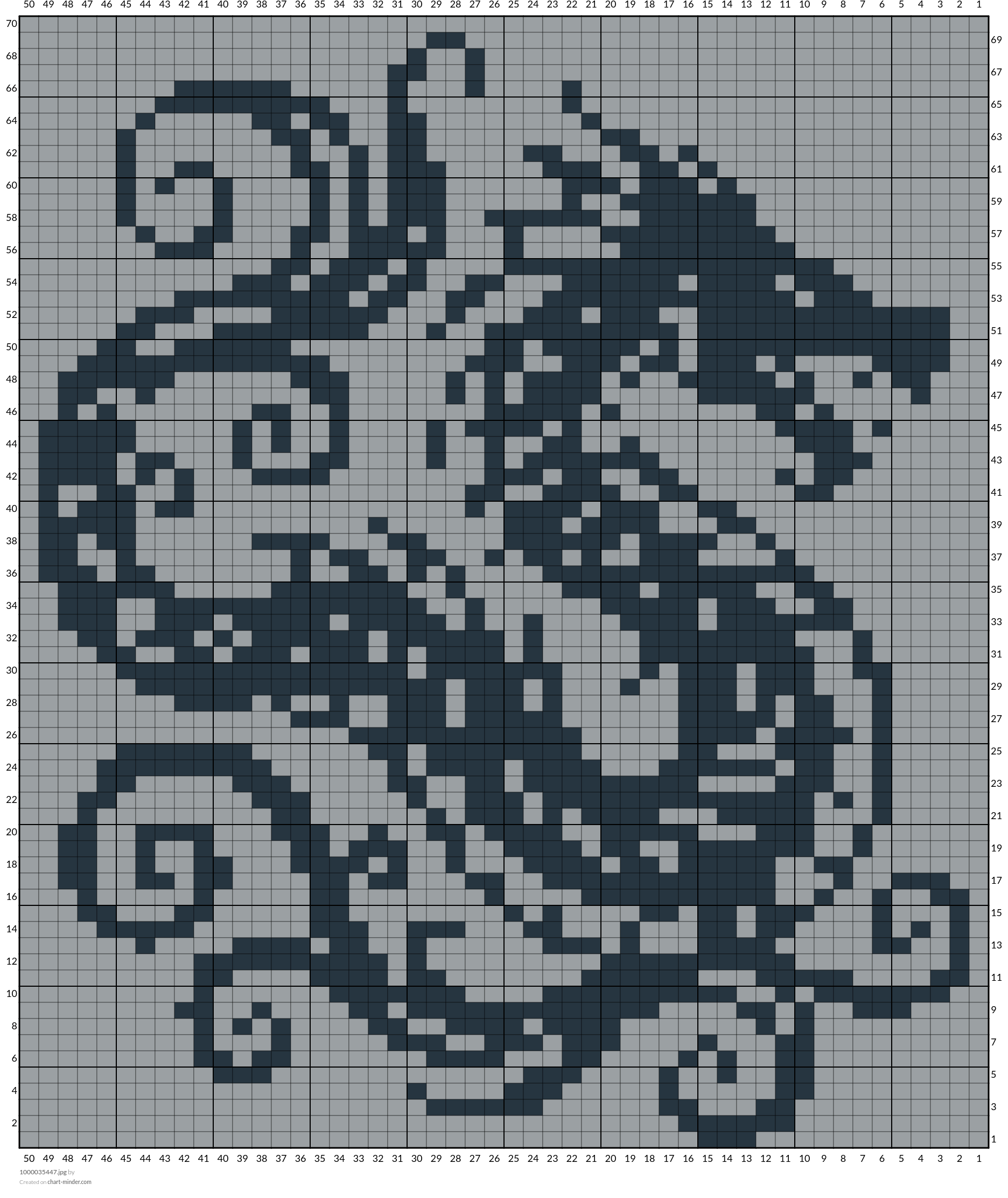 1000035447.jpg