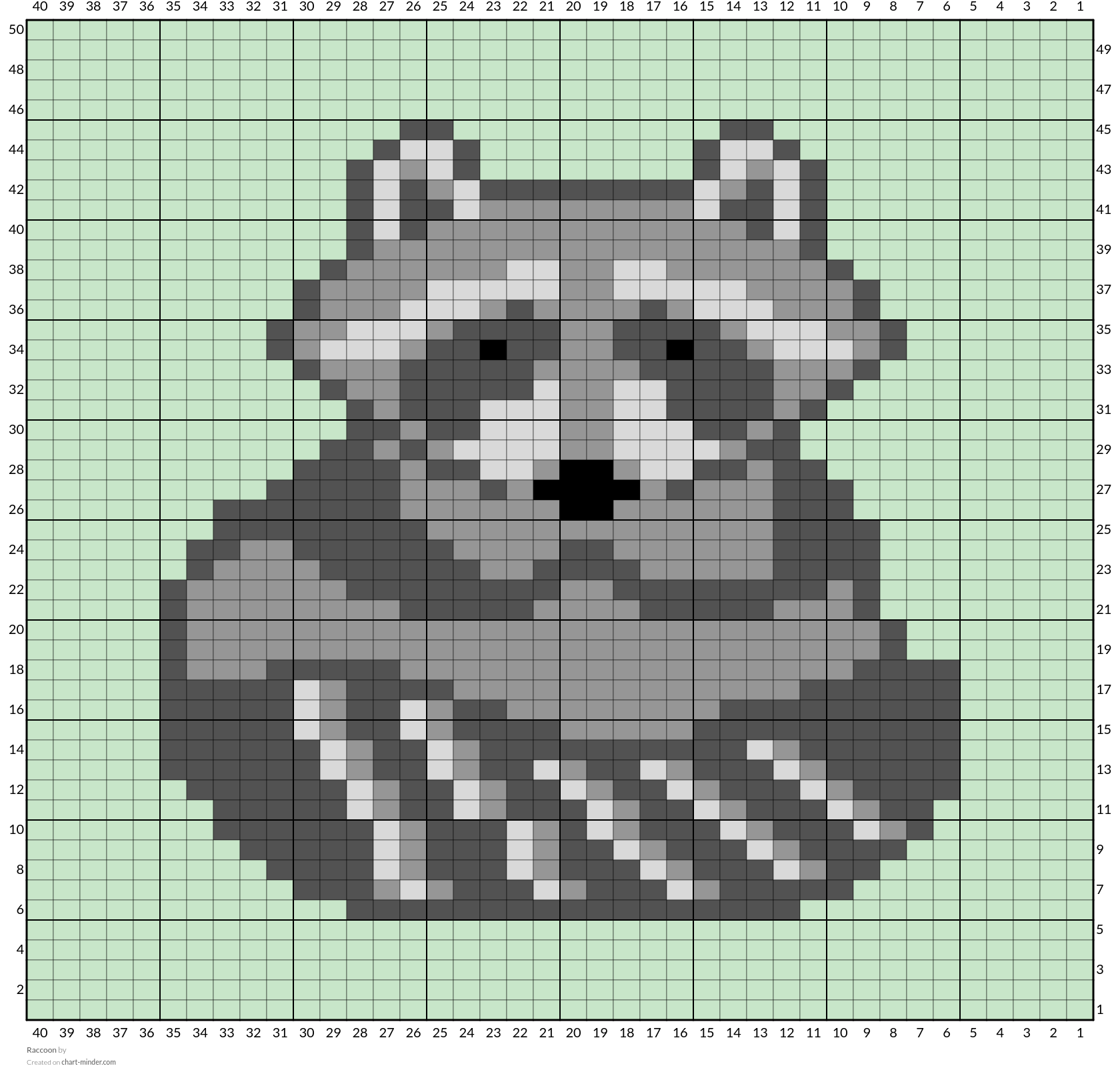 Raccoon