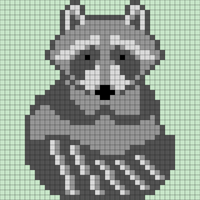 Copy of Raccoon