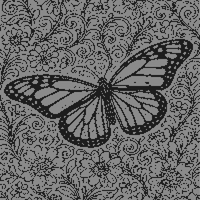 butterfly hard.jpg